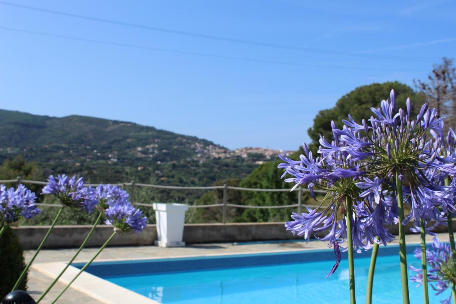 Residence Les Oliviers ポルト・アッズッロ エクステリア 写真